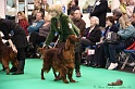 Crufts2011 738